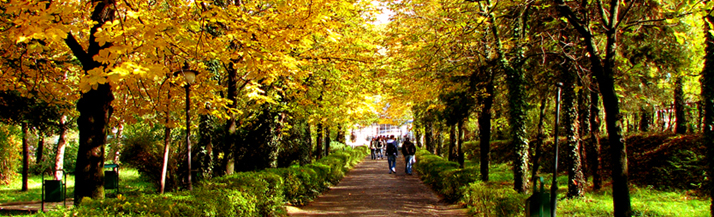 Autumn in Prizren - It is great to be in Kosovo in all 4 seasons